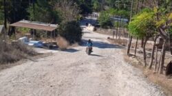 Jalan Tilong Sangat Memprihatinkan : Kades Oelnasi Angkat Bicara