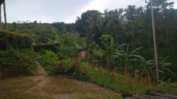 Bineno Lahirkan Pemimpin : Terlupakan Dari Sentuhan Pembangunan